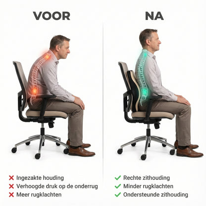 Wellback SitSmart Pillow