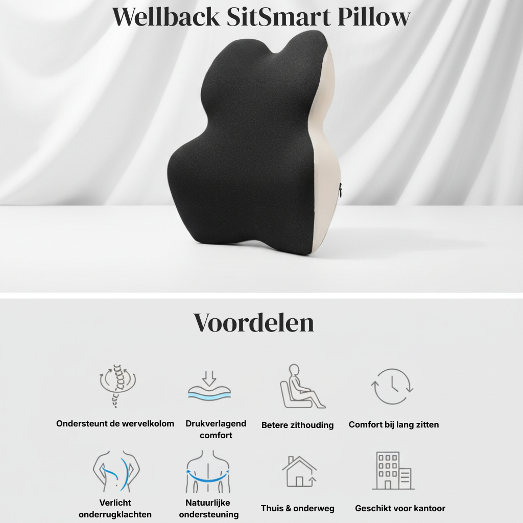 Wellback SitSmart Pillow