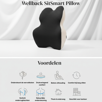 Wellback SitSmart Pillow